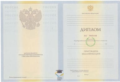 Диплом МГУ имени М.В. Ломоносова 2010-2011 годов